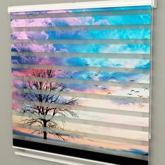 Textured Zebra Blinds